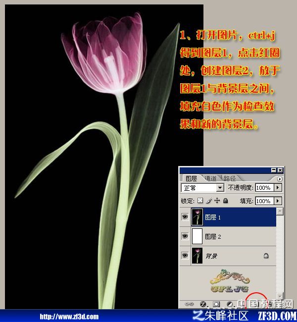 PhotoshopƤ߿ٓD